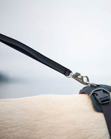 Ruffwear Front Range Koppel - Basalt Gray