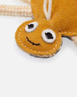 Spindelleksak för hundar