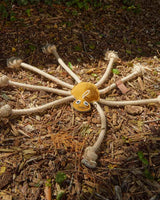 Green & Wild's leksaker för hundar