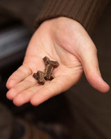 Essential Mini Delights