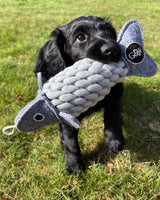 Green & Wild's Reb leksaker för hundar