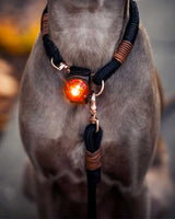 Orbiloc Safety Light