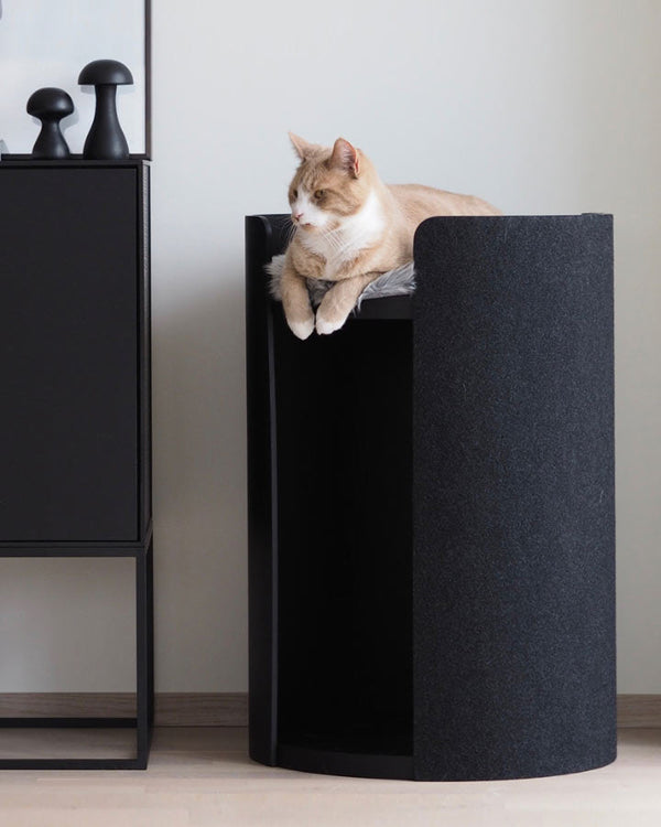 Klösmöbel för katter - Torre katträd (Ash Svart) Small - Petlux