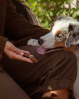 Essential hundgodis med lax