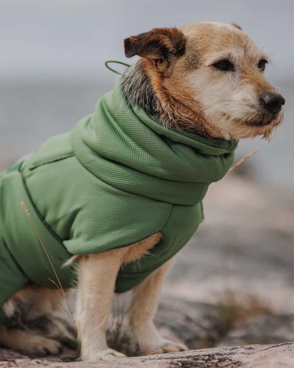 Torkdräkt för hundar