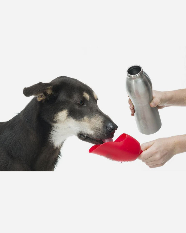 KONG H2O vattenflaska för hundar