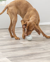 Trixie snackboll i naturgummi med öppning för godbitar, grå, 9 cm
