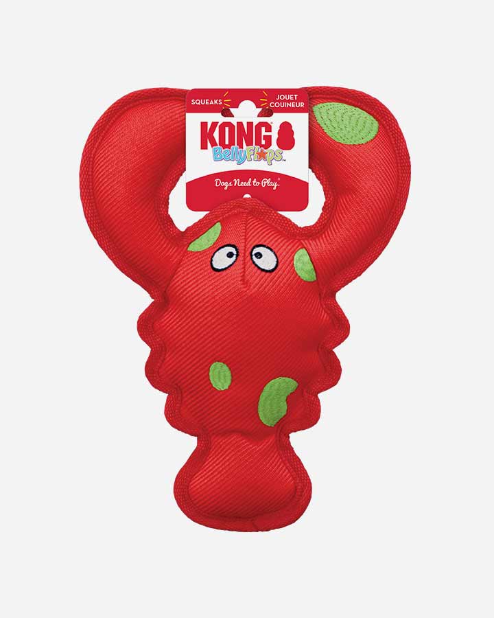 Kong Belly Flops Hummer - Medium