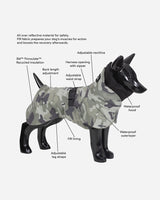 Paikka Recovery vinterjacka till hund - Camo - Reflex