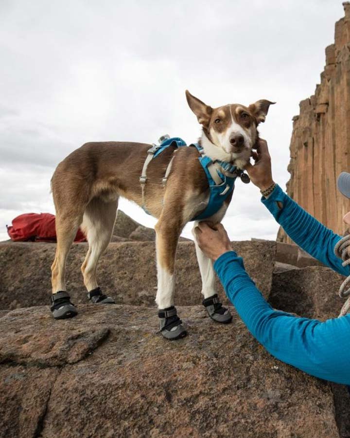 Ruffwear Grip Trex skor 