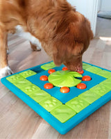 Aktivera din hund med spel