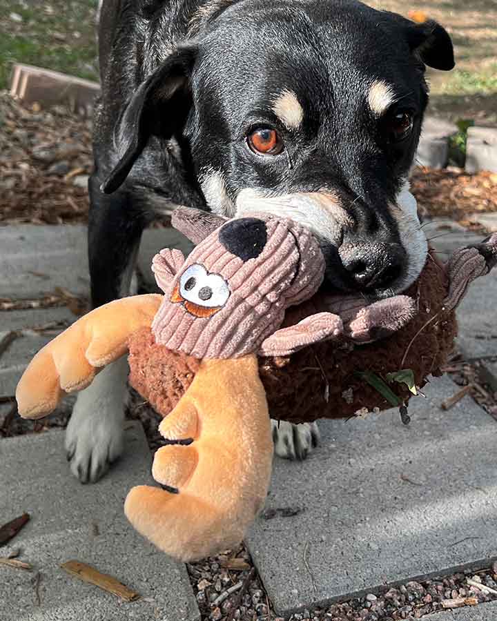 Kong Sherps Floofs Moose 