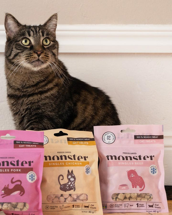Monster - Frystorkade godsaker med Nötkött - för katter - Petlux