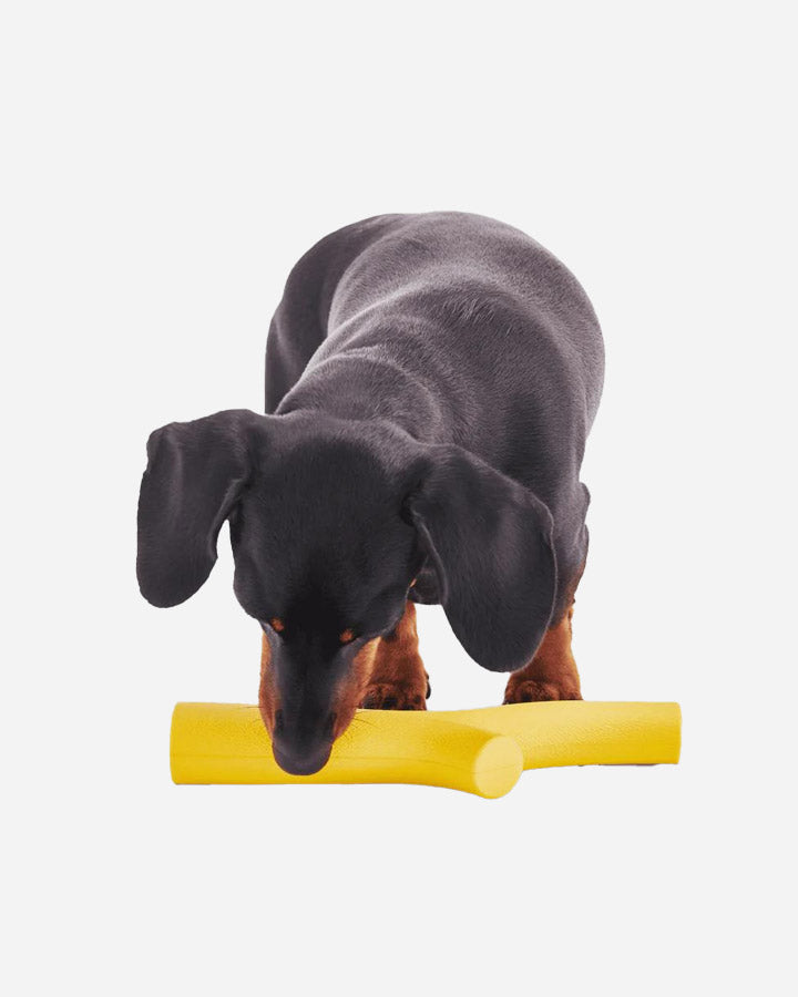 Leksak som ser ut som en pinne för hundar