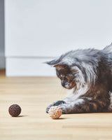 Filo katt lekboll från MiaCara - 3 färger