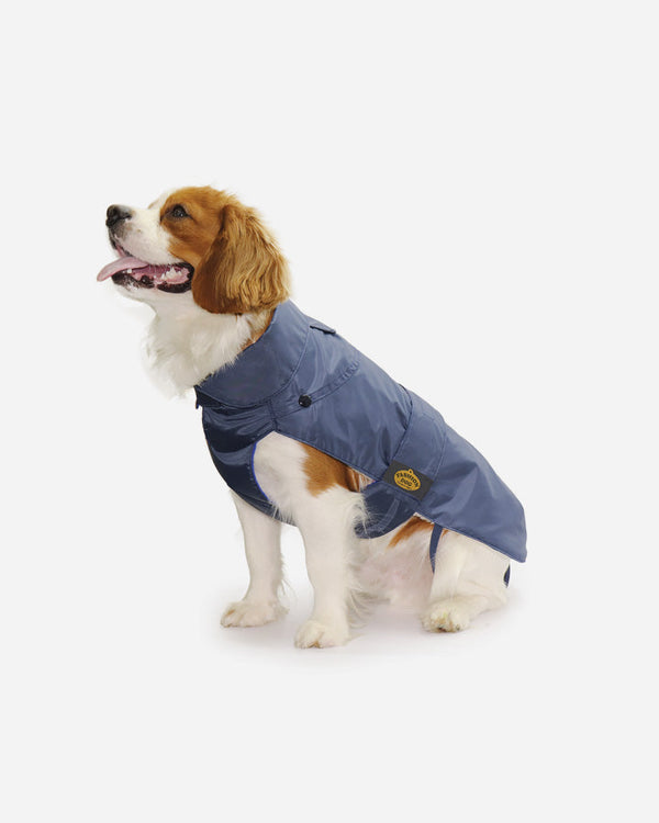 Blå vattentät regnjacka med avtagbart värmefoder - Fashion Dog (art.109)