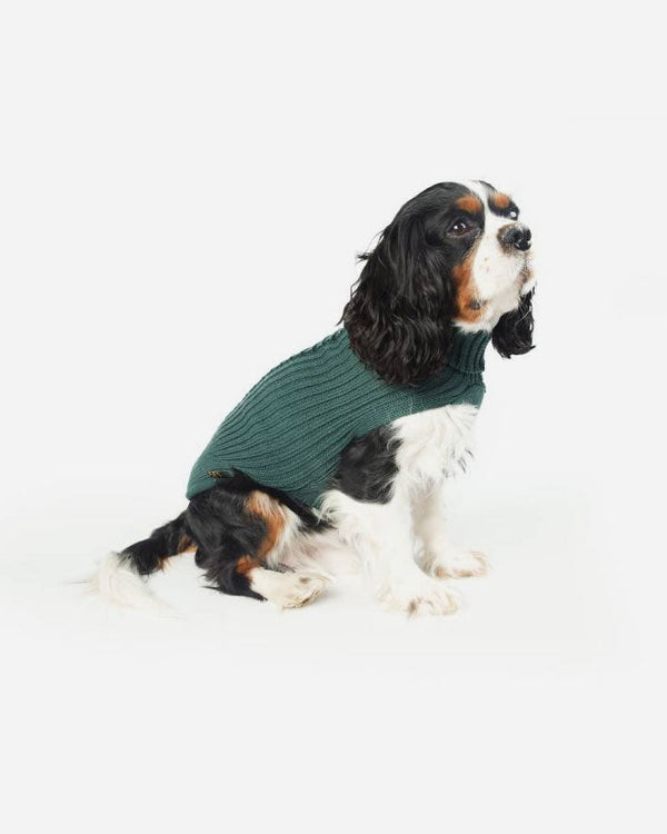 Grøn stickad hundsweater - Fashion Dog art. 303