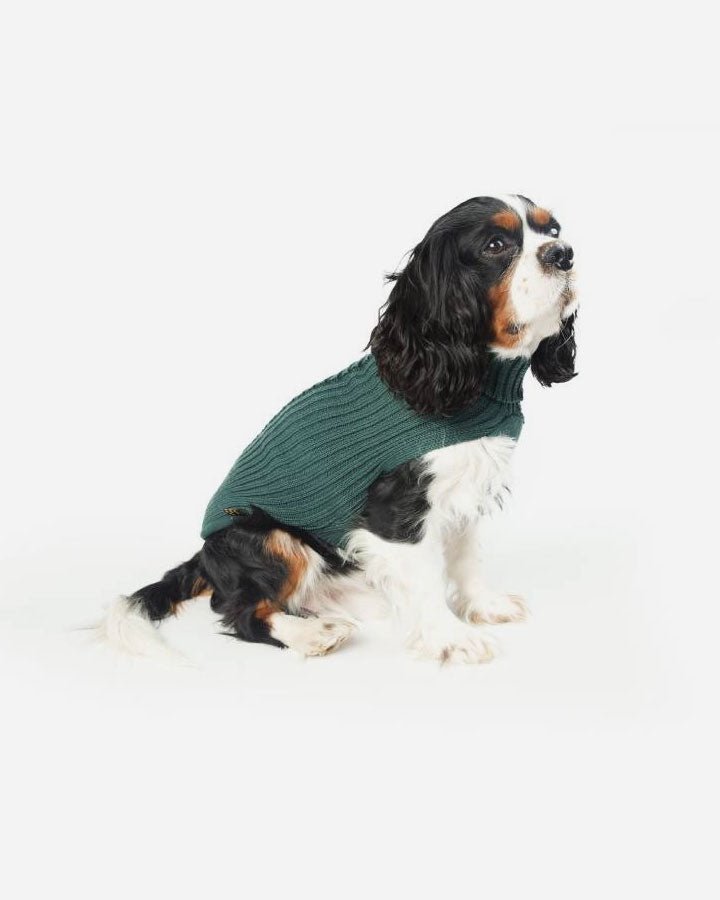 Grøn stickad hundsweater 