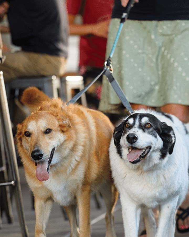 Ruffwear Double Track Dog Leash Coupler