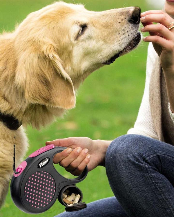 Flexi Multibox – för snacks eller hundpåsar
