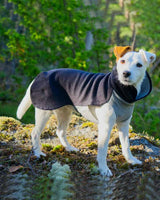 Paikka Recovery Vinterdräkt - skjorta för hund