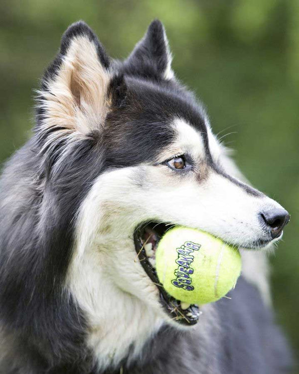 Tennisboll