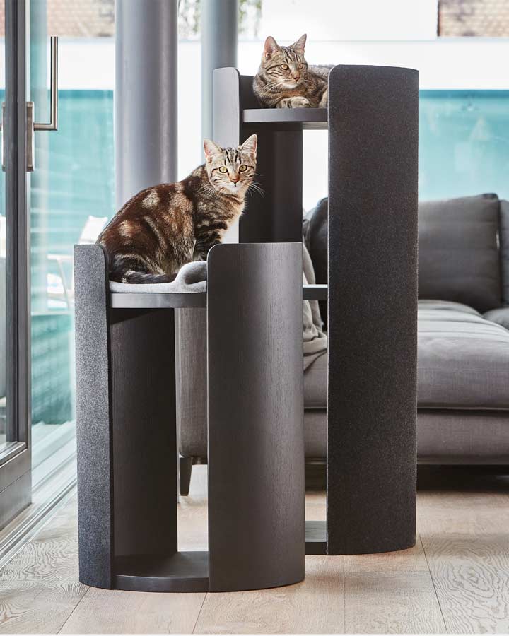 Klösmöbel för katter - Torre katträd (Ash Svart) Small