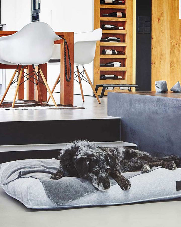 Hundfilt i fleece - Unica (Graphite)